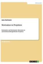 Motivation in Projekten af Jana Hartmann