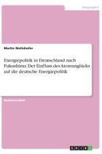 Energiepolitik in Deutschland nach Fukushima af Martin Wellnhofer