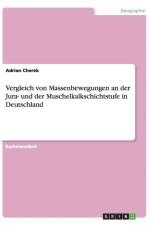 Vergleich von Massenbewegungen an der Jura- und der Muschelkalkschichtstufe in Deutschland af Adrian Cherek