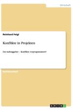 Konflikte in Projekten af Reinhard Feigl