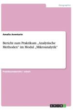 Bericht zum Praktikum 