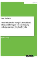 Wustenstrom fur Europa af Peter Weilharter