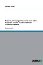 Banken-, Wahrungskrisen Und Twin Crisis af Björn-Eric Förster