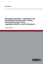 Herausforderungen an Die Jugendberufshilfe in Der Postmoderne af Kay Ullrich