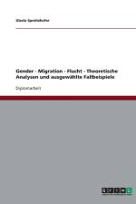 Frauen in Migrations- Und Fluchtsituationen. Theoretische Analysen Und Ausgewahlte Fallbeispiele af Gisela Spreitzhofer