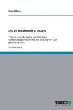 IAS 36 Impairment of Assets af Heinz Widmer