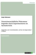 Naturwissenschaftliche Phanomene begreifen durch Experimentieren im Sachunterricht af Katja Diekmann