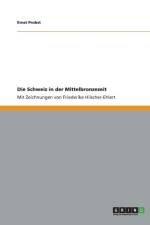 Die Schweiz in der Mittelbronzezeit af Ernst Probst