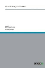 Erp-Systeme ALS Erleichterung F r Das Informationsmanagement in Unternehmen af Luzik Raisa