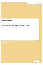M-Business im Segment des BtoC af Michael Mendla