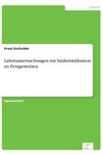 Laboruntersuchungen zur Salzkristallisation an Festgesteinen af Franz Gschaider