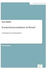Krankenhaussozialdienst im Wandel af Sven Schäfer