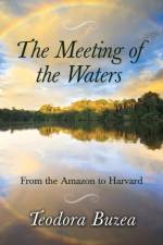 The Meeting of the Waters af Teodora Buzea