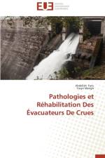 Pathologies Et R habilitation Des vacuateurs de Crues af Collectif