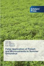Foliar Application of Potash and Micronutrients to Summer Groundnut af Mathukia R K