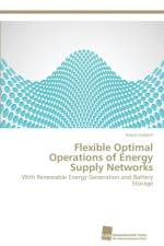Flexible Optimal Operations of Energy Supply Networks af Aouss Gabash
