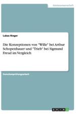 Die Konzeptionen Von 