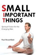 Small Important Things af Paul Broomfield