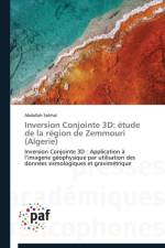 Inversion Conjointe 3D af Sokhal-A