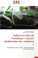 Culture in Vitro de l'Artichaut Cynara Cardunculus Var. Scolymus af Collectif