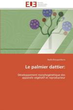 Le Palmier Dattier af Bouguedoura-N