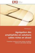 Agregation des amphiphiles en solutions salees riches en alcool af Bouguerra-N