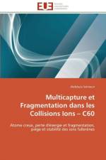 Multicapture Et Fragmentation Dans Les Collisions Ions C60 af Salmoun-A