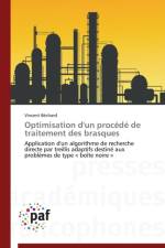 Optimisation d'Un Procede de Traitement Des Brasques af Bechard-V