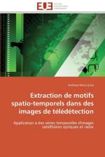 Extraction de motifs spatio-temporels dans des images de teledetection af Julea-A