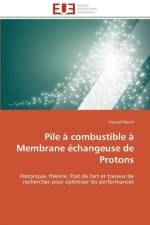 Pile Combustible Membrane changeuse de Protons af Naimi-Y