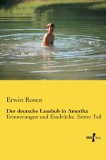 deutsche Lausbub in Amerika af Erwin Rosen