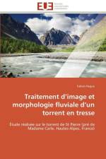 Traitement D Image Et Morphologie Fluviale D Un Torrent En Tresse af Hugue-F