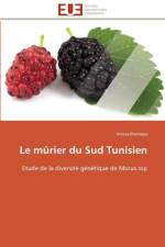 Le M rier Du Sud Tunisien af Boubaya-A