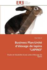 Business plan af Ali-N