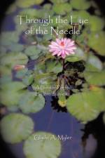 Through the Eye of the Needle af Glade a Myler
