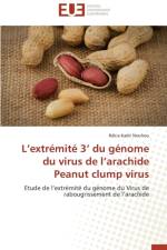 L extremite 3 du genome du virus de l arachide peanut clump virus af Nouhou-R