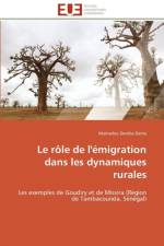 Les tice au cameroun af Demba-M