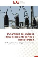Dynamique Des Charges Dans Les Isolants Port s Haute Tension af Bedoui-H