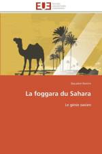 La foggara du sahara af Remini-B