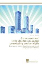 Structures and irregularities in image processing and analysis af Jean-Luc Bouchot
