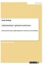 Arbeitnehmer optimal motivieren af Sonja Gerding