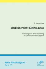 Marktubersicht Elektroautos af T Hassanzada