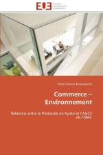 Commerce Environnement af Bissouekeme-P
