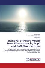 Removal of Heavy Metals from Wastewater by Mgo and Zno Nanoparticles af Nazir Rabia