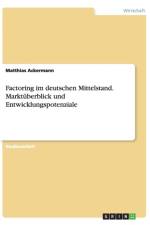 Factoring im deutschen Mittelstand. Marktuberblick und Entwicklungspotenziale af Matthias Ackermann