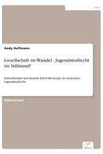 Gesellschaft im Wandel - Jugendstrafrecht im Stillstand? af Andy Hoffmann