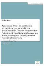 Zur sozialen Arbeit im Kontext der Verknupfung von Suchthilfe und psychiatrischem Gesundheitssystem bei Patienten mit psychischen Stoerungen aus dem schizophrenen Formenkreis und Suchtmittelmissbrauch af Beatrix Kahn