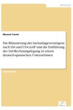 Bilanzierung des Sachanlagevermoegens nach IAS und US-GAAP und die Einfuhrung der IAS-Rechnungslegung in einem deutsch-spanischen Unternehmen af Manuel Castel