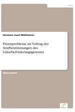 Praxisprobleme im Vollzug der Strafbestimmungen des Guterbefoerderungsgesetzes af Hermann Josef Muhlleitner