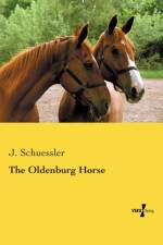 Oldenburg Horse af J Schuessler